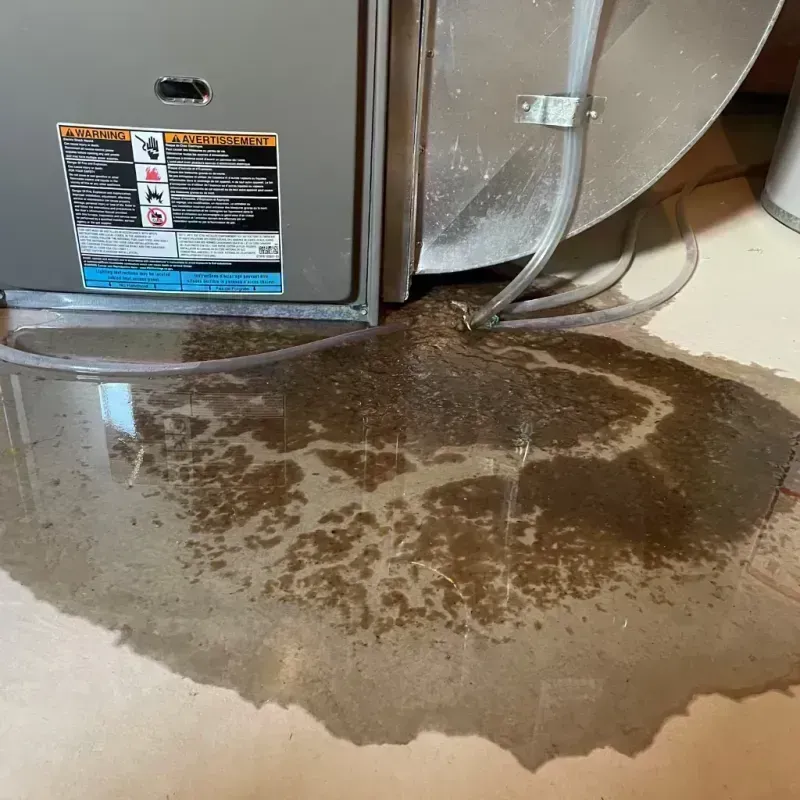 Appliance Leak Cleanup in Marion County, MO